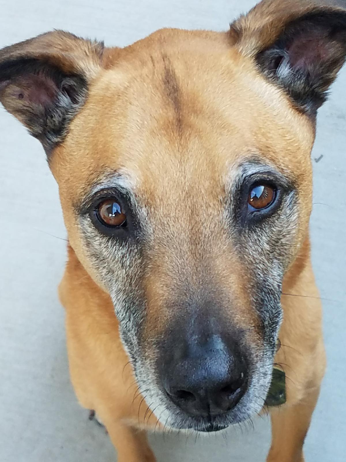 A moment of silence for Stewie