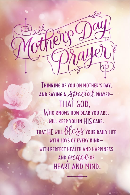 Celebrating the Faithful Heart of a Mother