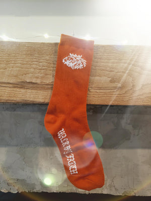 Lion of Judah- Socks - Faith Defines Us